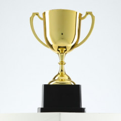 Кубок - Фото 1