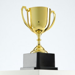 Кубок - Фото 2