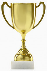 Кубок под нанесение - Фото 1