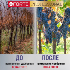 Удобрение пролонгированное «Универсальное осеннее» - Фото 8