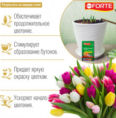 Удобрение для луковичных цветов - Фото 1