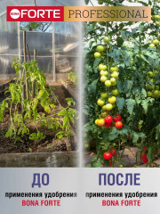 Удобрение водорастворимое для томатов и перцев с аминокислотами - Фото 5