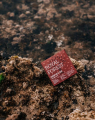 Шоколад натуральный из кэроба с лесными орехами - Фото 5