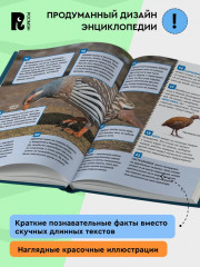 Птицы. Энциклопедия российского школьника - Фото 3