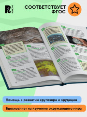 Птицы. Энциклопедия российского школьника - Фото 4