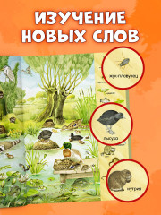 1000 животных. Найди и покажи - Фото 4