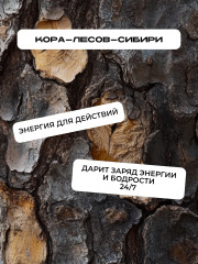 Пена для бритья «Сила тайги» - Фото 1