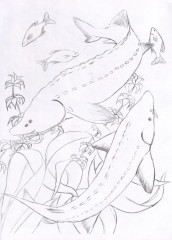 Красная книга. Животные и рыбы. Посмотри и дорисуй - Фото 3