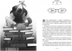 Алькатрас против злых Библиотекарей. Книга 1. Талант под прикрытием - Фото 6