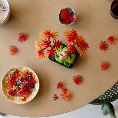 Конструктор Botanicals 10348 Дерево бонсай: красный японский клен. Japanese Red Maple Bonsai Tree - Фото 6