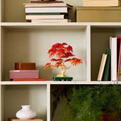 Конструктор Botanicals 10348 Дерево бонсай: красный японский клен. Japanese Red Maple Bonsai Tree - Фото 7