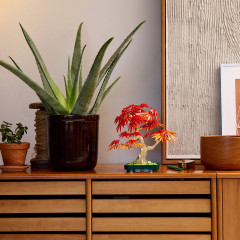 Конструктор Botanicals 10348 Дерево бонсай: красный японский клен. Japanese Red Maple Bonsai Tree - Фото 10