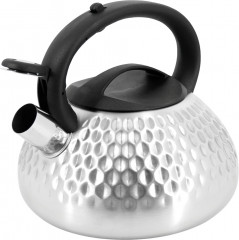 Чайник со свистком - Фото 1