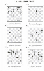 Практикум по шахматной тактике для юных чемпионов. Решебник - Фото 1
