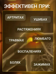 Набор пластырей противовоспалительных «Gold insam» - Фото 4