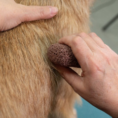 Камень для тримминга - Фото 1