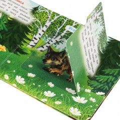 Книжка с окошками «Жители леса» - Фото 4