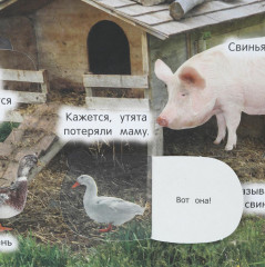 Книга «Животные» - Фото 2