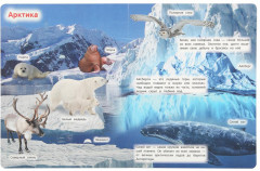 Книга «Животные» - Фото 4