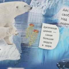 Книга «Животные» - Фото 5