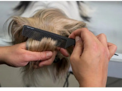 Расческа для собак и кошек угольная антистатическая со спицей - Фото 1