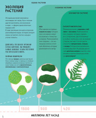 Тайны деревьев - Фото 5