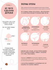 Тайны деревьев - Фото 11