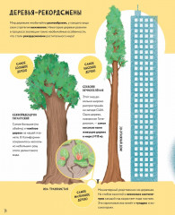 Тайны деревьев - Фото 13