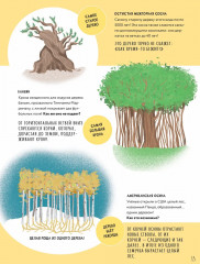 Тайны деревьев - Фото 14