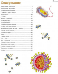 Тело человека. Атлас анатомии в картинках - Фото 2