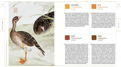 Краски Запретного города. Традиционные цвета Китая - Фото 5