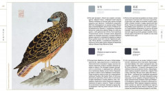 Краски Запретного города. Традиционные цвета Китая - Фото 7