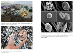 Удивительное зарождение Земли. Путешествие по скрытым чудесам, которые дали жизнь нашей планете - Фото 8