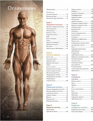 Анатомия человека. Визуальный гид по всем системам организма: норма и патологии - Фото 6