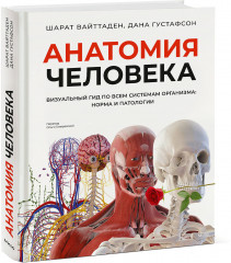 Анатомия человека. Визуальный гид по всем системам организма: норма и патологии - Фото 8