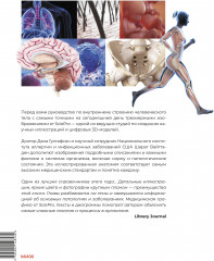 Анатомия человека. Визуальный гид по всем системам организма: норма и патологии - Фото 2