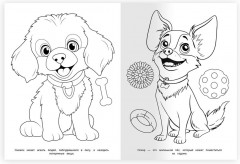 Раскраска «Любимые питомцы» - Фото 2