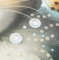 Мозаика алмазная «Котик» - Фото 3