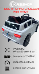 Электромобиль детский «Toyota 189 mini» - Фото 1