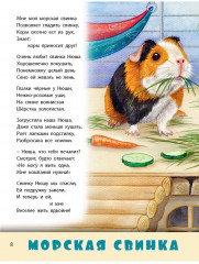 Домашние питомцы - Фото 3
