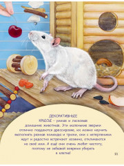 Домашние питомцы - Фото 4
