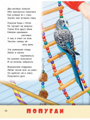 Домашние питомцы - Фото 6