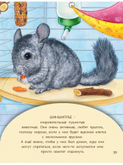 Домашние питомцы - Фото 7