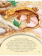 Домашние питомцы - Фото 8