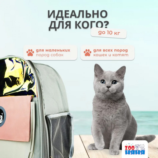 Сумка-переноска для кошек