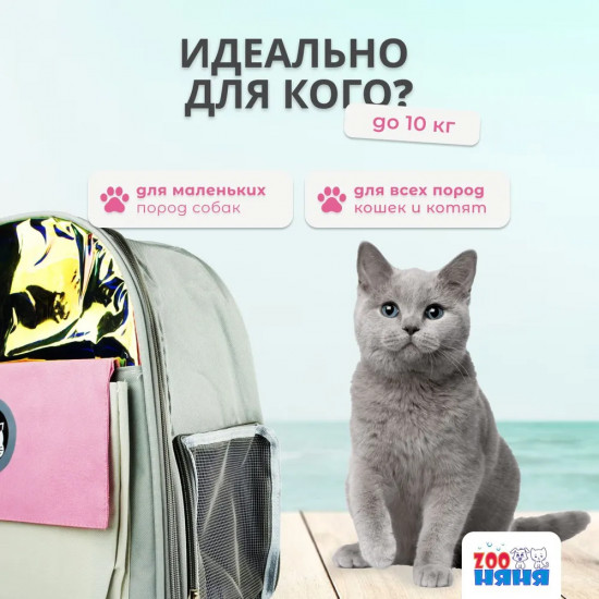 Сумка-переноска для кошек