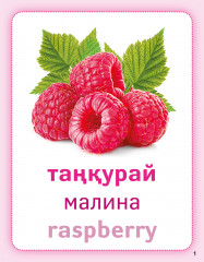 Жидектер. Ягоды. Berries. Дидактикалық карточкалар. Дидактические карточки - Фото 1
