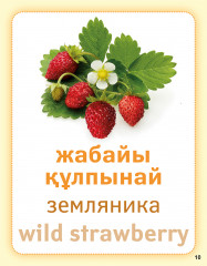 Жидектер. Ягоды. Berries. Дидактикалық карточкалар. Дидактические карточки - Фото 3