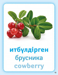 Жидектер. Ягоды. Berries. Дидактикалық карточкалар. Дидактические карточки - Фото 4