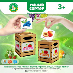 Игра настольная «Фрукты, ягоды, овощи, грибы» - Фото 5
